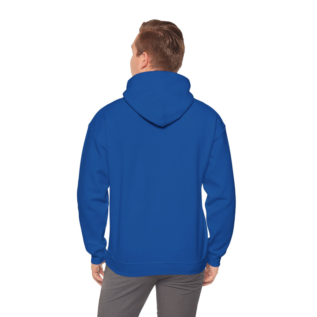 All For Jesus | Hoodie - Limited Edition