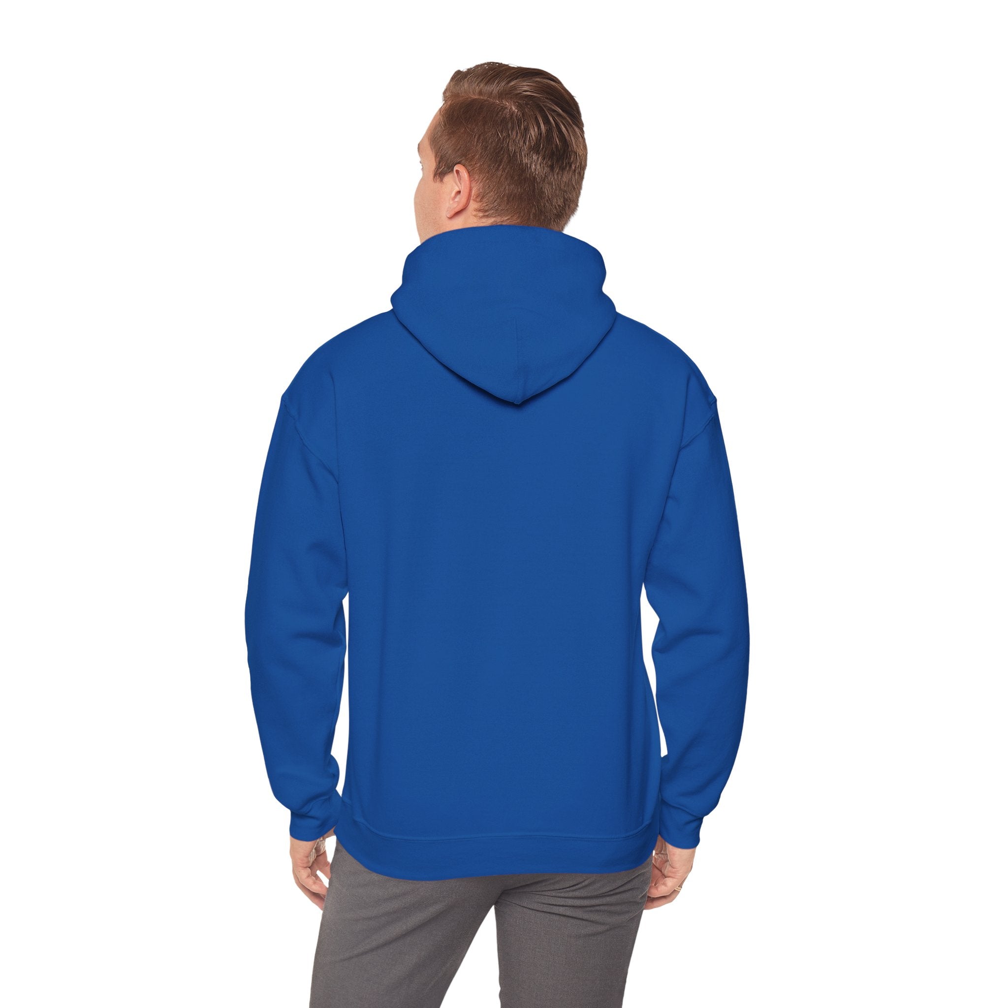 All For Jesus | Hoodie - Limited Edition
