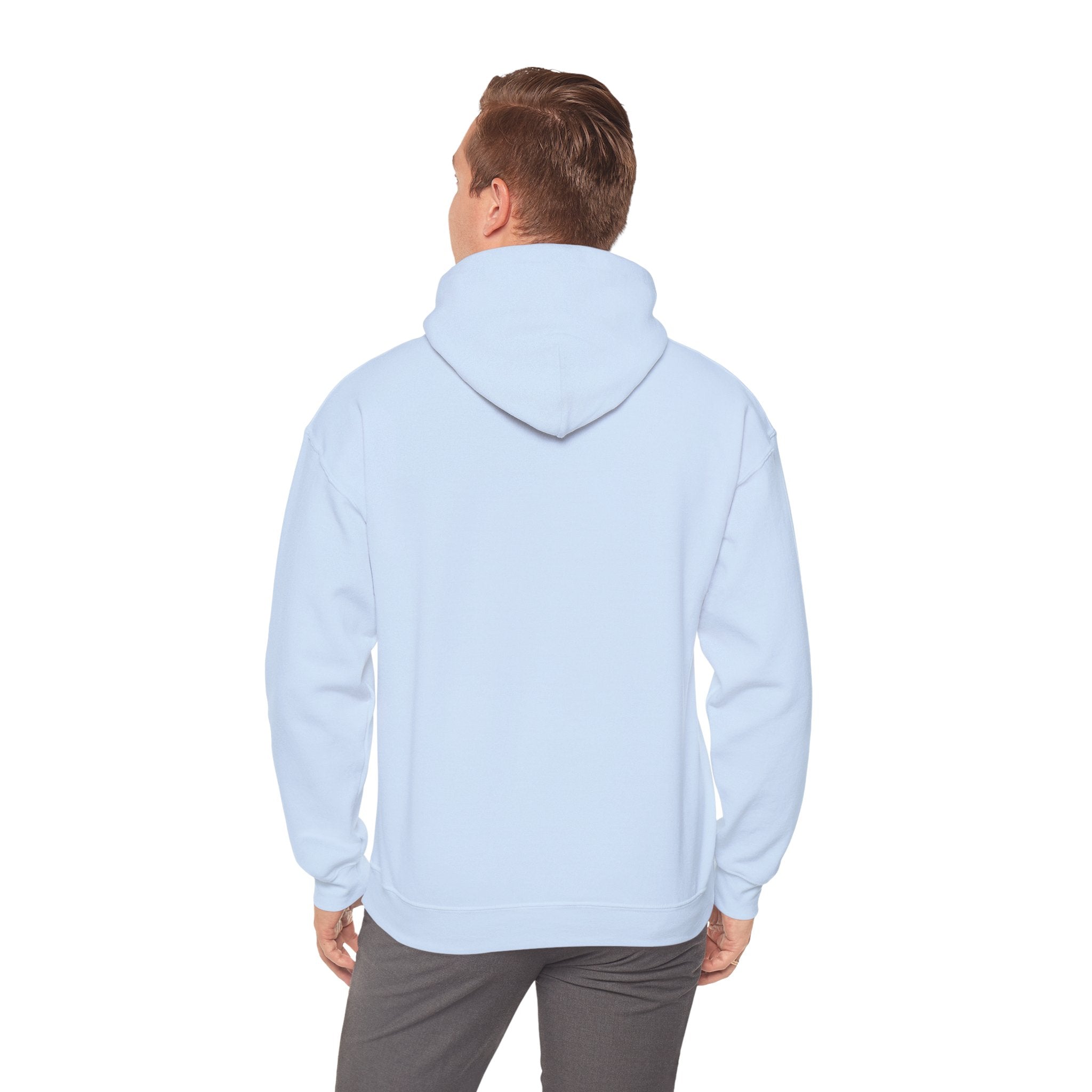 Jesus is King | Hoodie - Limited Edition
