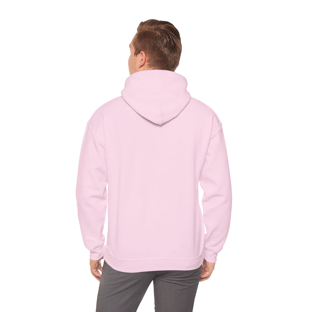 All For Jesus | Hoodie - Limited Edition